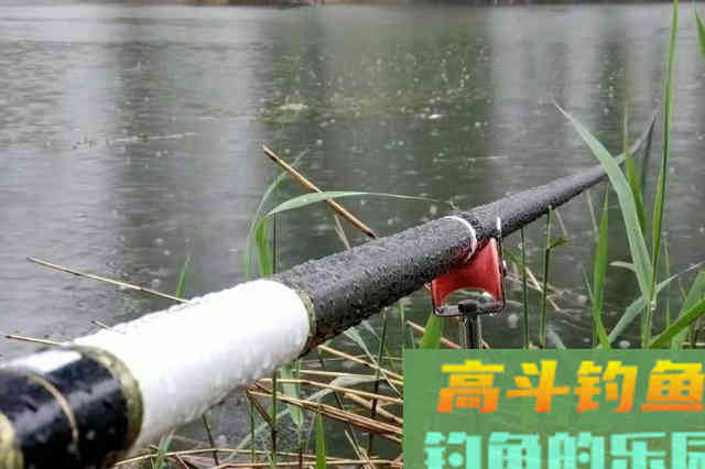 难怪夏钓鳊鱼十拿九稳,只需换用这招式 难怪夏钓鳊鱼十拿九稳,只需换用这招式