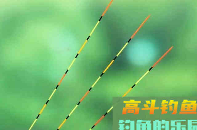 九月钓鲢鳙鱼的一些基本作钓技巧，解决不好钓问题