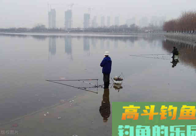 冬季鲫鱼怎么钓？长竿短线才是王道