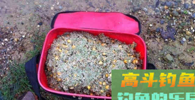 学会这3招,在7、8月份钓大鲤鱼简直易如反掌 学会这3招,在7、8月份钓大鲤鱼简直易如反掌