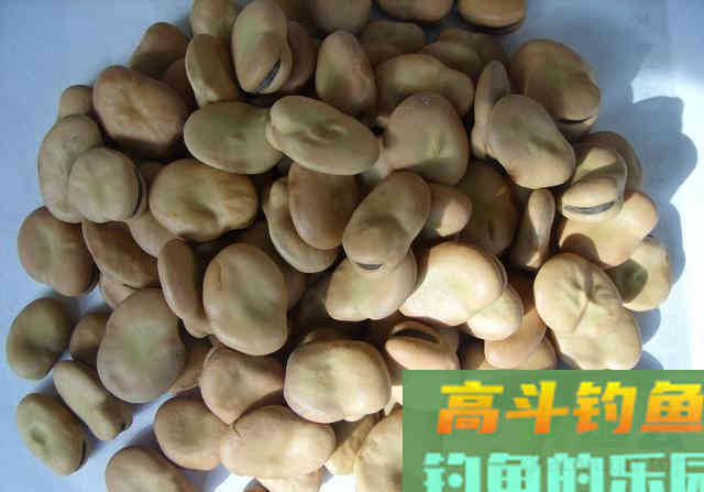 秋冬野钓大板鲫,就用这些自制饵 秋冬野钓大板鲫,就用这些自制饵