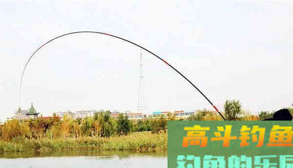 唯一一种鱼没牙齿贵的鱼，青鱼的无奈，四大家鱼中最难的一位