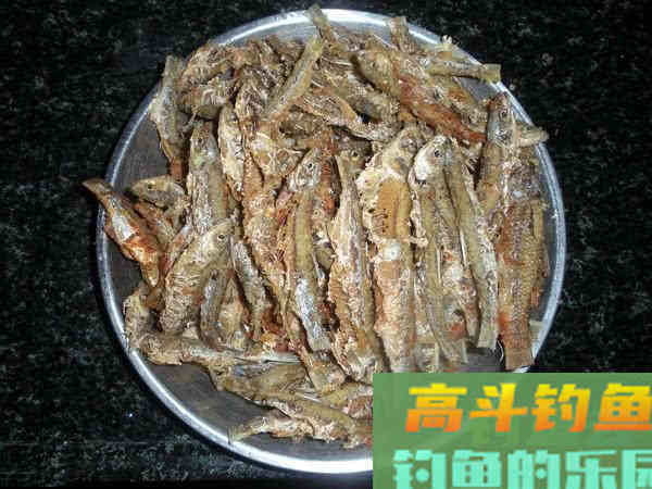 钓白条用我分享的方法，你下钩，它就在那等你