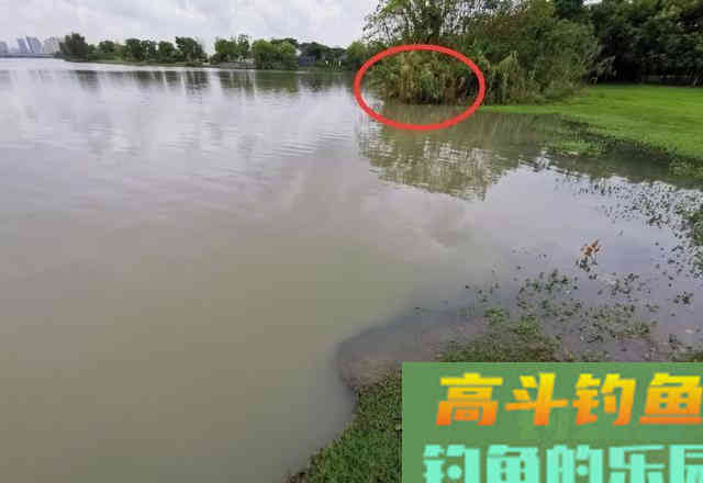 开春后如何钓到大鲫鱼？换个角度想对策就行