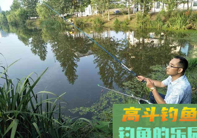 初夏升温自然水域的鲢鳙该如何作钓?老钓友教你三招 初夏升温自然水域的鲢鳙该如何作钓?老钓友教你三招