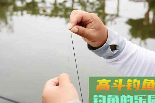 草鱼唯独按我说的钓，鱼竿才被拉的吱吱响