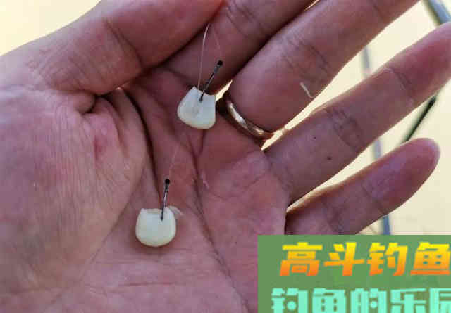 从钓位选择到装备搭配,手把手教你野钓翘嘴鱼 从钓位选择到装备搭配,手把手教你野钓翘嘴鱼