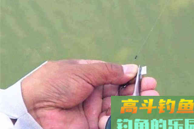 初秋太热，用这钓法连竿上鲤鱼