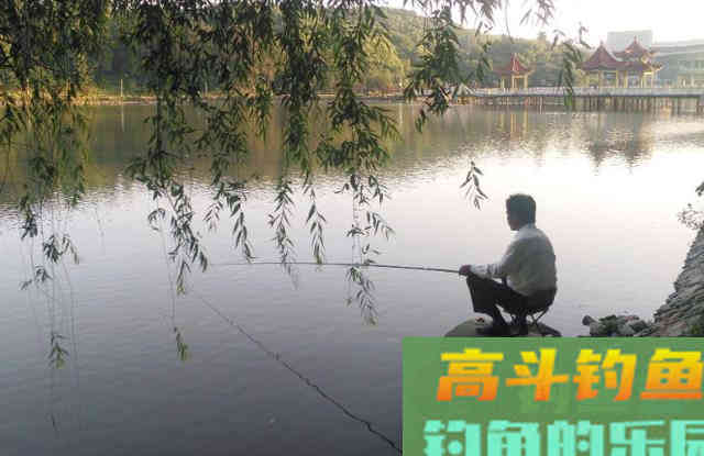 夏季垂钓鲢鳙，需要知道的技巧