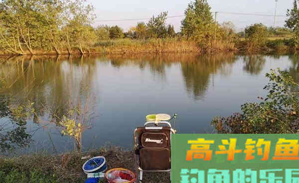 冬季钓鲫鱼5要诀，鱼口越轻越是讲究方法