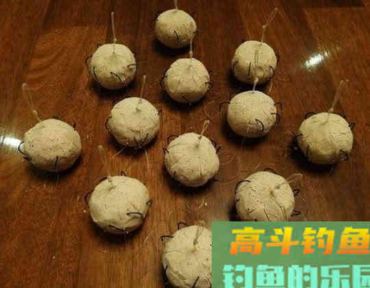如何区分鲢鱼和鳙鱼,又该如何垂钓此鱼呢?附自制饵 如何区分鲢鱼和鳙鱼,又该如何垂钓此鱼呢?附自制饵