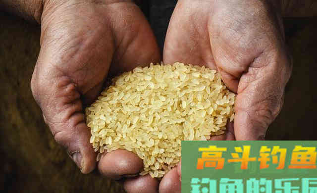 秋季,钓鱼初学者用什么饵料才能钓获板鲫 秋季,钓鱼初学者用什么饵料才能钓获板鲫