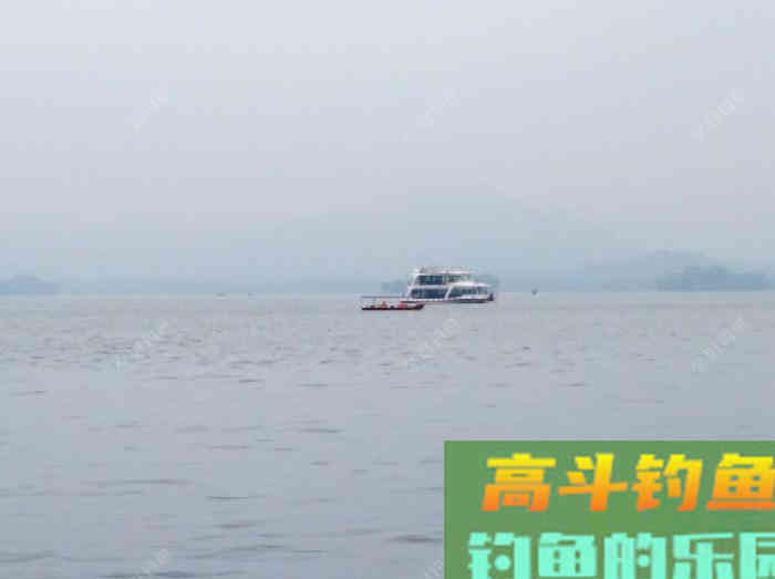 钓鲢鳙鱼3个因素与找鱼层方法,以及气温等技巧 钓鲢鳙鱼3个因素与找鱼层方法,以及气温等技巧