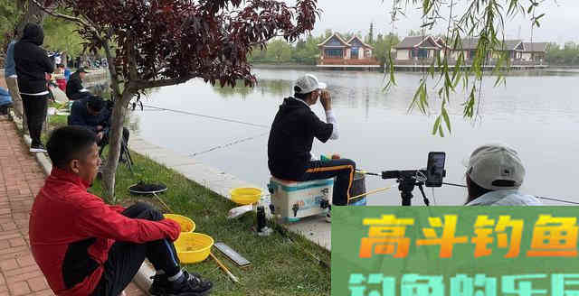 邓刚钓鲢鳙居然败了？这一做法是溃败的关键