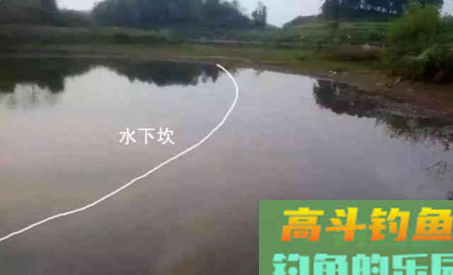 为何说野钓鲤一定要找坎 为何说野钓鲤一定要找坎