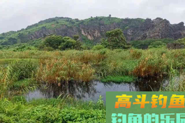 天气越冷钓鱼越要找这种地方，鲫鱼最喜欢躲在其中