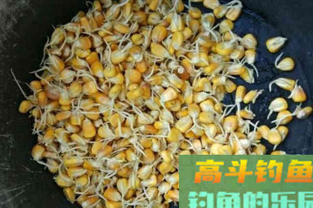 谁说大草鱼难钓?从四个方面探究,分享三种钓法 谁说大草鱼难钓?从四个方面探究,分享三种钓法