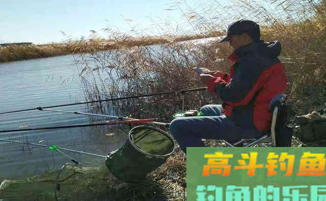 钓鲢鳙远离这3大误区，钓好鱼很简单