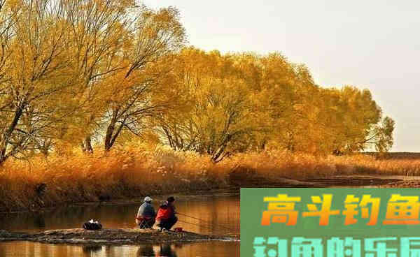 冬天手竿钓鲫鱼的4个基本技巧