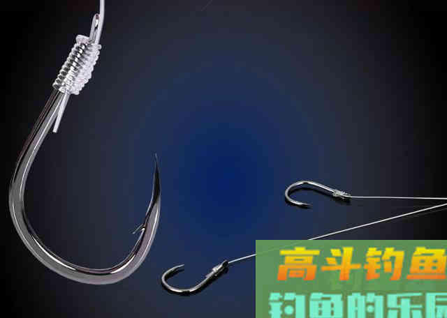 钓鲢鳙为什么老是锚鱼？我来告诉你真相