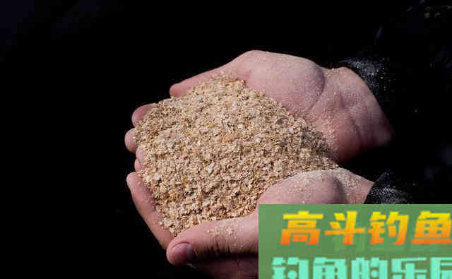 夏钓鲢鳙的独特饵料配方，成为巨物鲢鳙的最爱