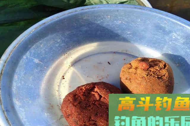 钓不好鲢鳙鱼,那就看看这些垂钓心得 钓不好鲢鳙鱼,那就看看这些垂钓心得