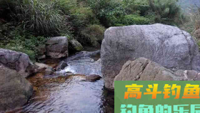 大西南的深山溪流里钓山鲶，这种极品鱼吃起来弹嘴