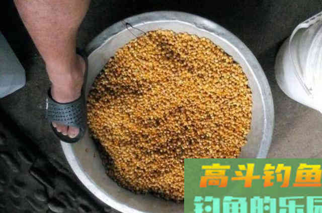 草鱼唯独按我说的钓，鱼竿才被拉的吱吱响