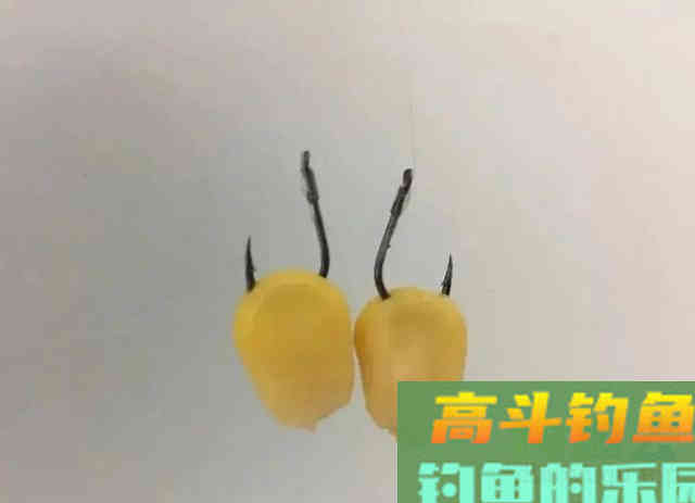 从钓位选择到装备搭配,手把手教你野钓翘嘴鱼 从钓位选择到装备搭配,手把手教你野钓翘嘴鱼