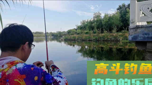 浮钓鲫鱼为什么你总是钓不好？装备选对了吗