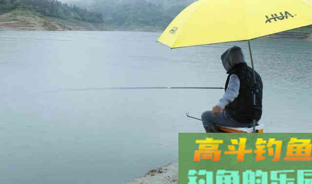 天气开始转暖，此时如何钓鲫鱼