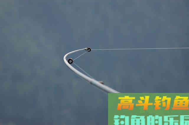 学会这几个钓鲈鱼技巧，每次出钓让你从不空手而归