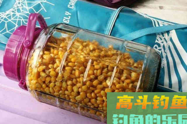 一提鲤鱼就犯钓瘾，还好我有这绝