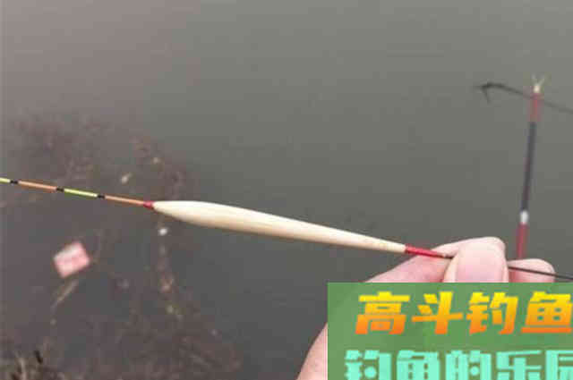 才刚立秋，老司机就喜欢用这鲢鳙钓法