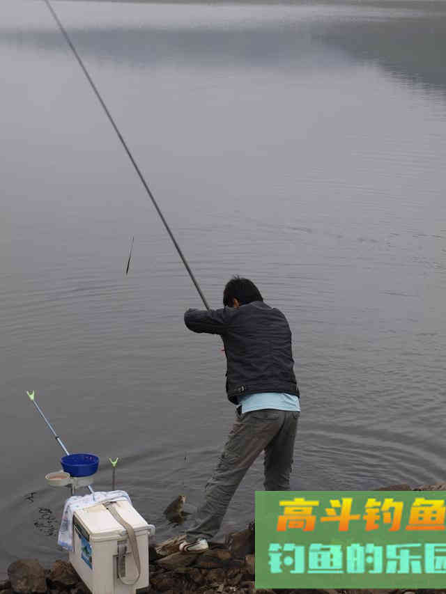 入秋后钓鲢鳙的一些经验总结，非常实用