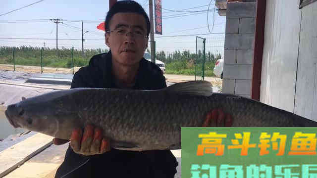 深入了解水深对鱼情的影响，详细释义它们间的关系
