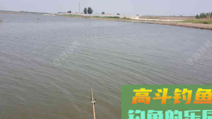 野钓策,野钓鲫鱼调与钓的几点感触 野钓策,野钓鲫鱼调与钓的几点感触