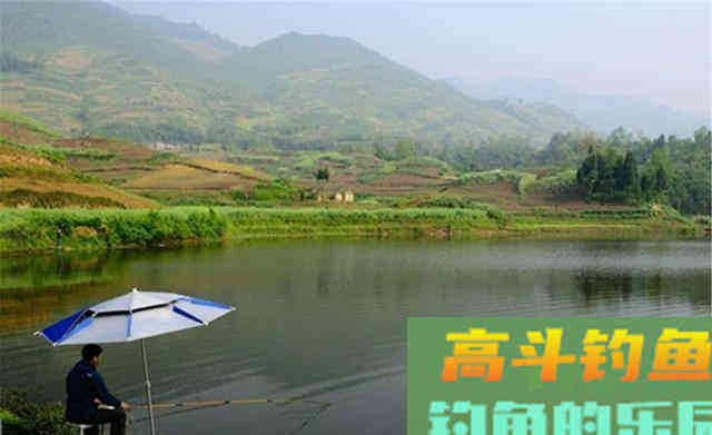 野钓鲫鱼,钓位选择有三点,天气季节和时间 野钓鲫鱼,钓位选择有三点,天气季节和时间
