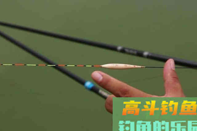 仲秋时期,野钓大草鱼必须弄明白的4个技巧 仲秋时期,野钓大草鱼必须弄明白的4个技巧