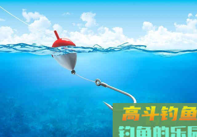 个人垂钓鲢鳙鱼心得分享，钓友可以借鉴参考