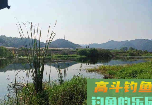 深秋野钓鲫鱼不宜死等口,传统钓主动出击找鱼窝更靠谱 深秋野钓鲫鱼不宜死等口,传统钓主动出击找鱼窝更靠谱