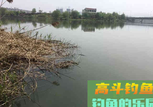 冬钓鲫,朝南坐还是朝北坐? 冬钓鲫,朝南坐还是朝北坐?