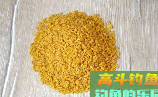 一种钓法一类饵料,却成为了秋季爆护大板鲫的秘籍 一种钓法一类饵料,却成为了秋季爆护大板鲫的秘籍