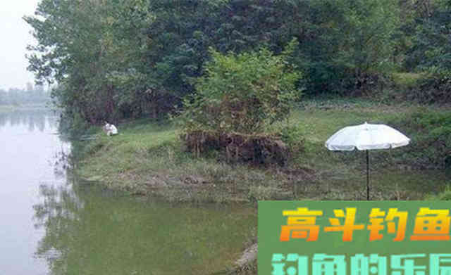 白露之后,野钓大鲤鱼,首选这些地形做钓位 白露之后,野钓大鲤鱼,首选这些地形做钓位