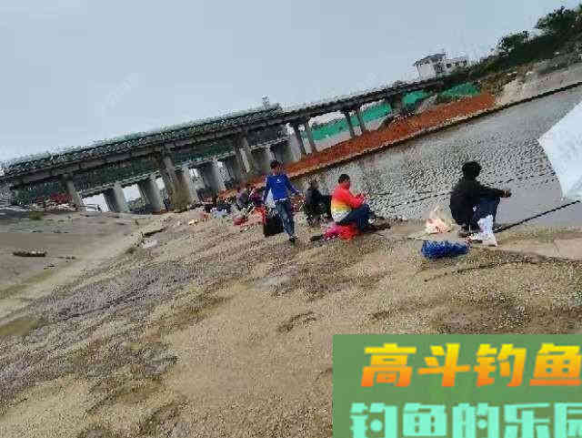 南方罗非鱼，土鲮如何钓？这样钓收获满满的