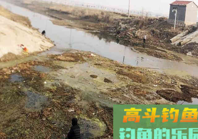 钓草鱼的季节,参照这套垂钓攻略,钓获大草鱼不难 钓草鱼的季节,参照这套垂钓攻略,钓获大草鱼不难