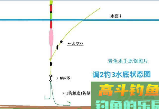 黑坑钓青鱼的钓组搭配，如何根据钓法选用
