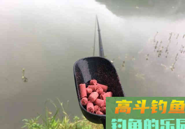 光水钓鲫鱼那点事儿，用长竿太累，但能比别人钓得更多