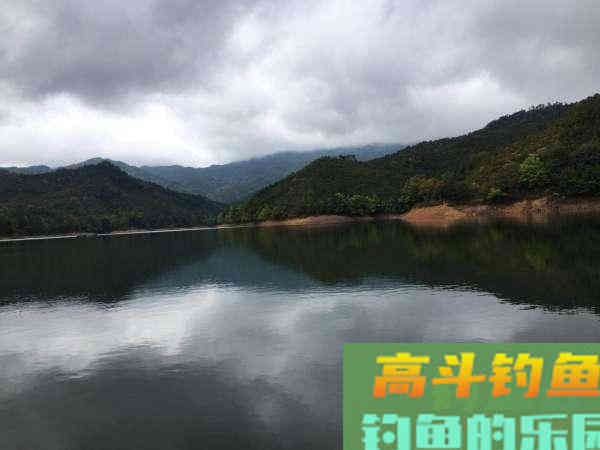 手竿也能钓到鳜鱼?钓鱼人非要这么干,我有两种方法 手竿也能钓到鳜鱼?钓鱼人非要这么干,我有两种方法