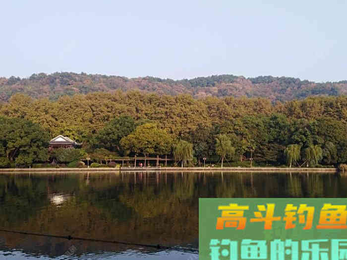 冬钓轻口鲫鱼的方法，谈鲫鱼若干漂相与应变技巧